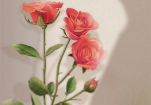 祝天下女神們節(jié)日快樂?。?！